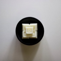 Wax Melt, White Tea & Sage by Freckleface Home Fragrance